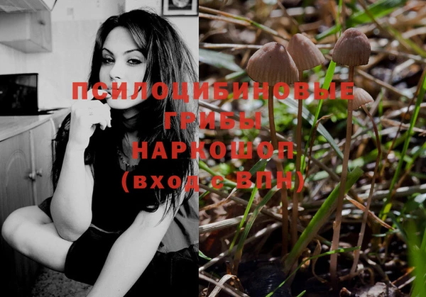 героин Абаза