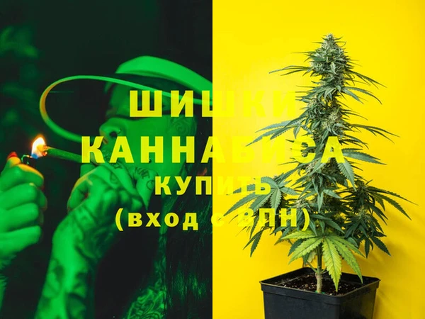 дживик Абинск