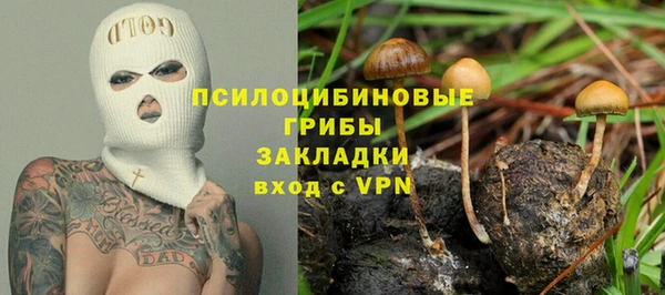 apvp Майский