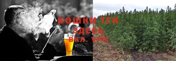 дживик Абинск